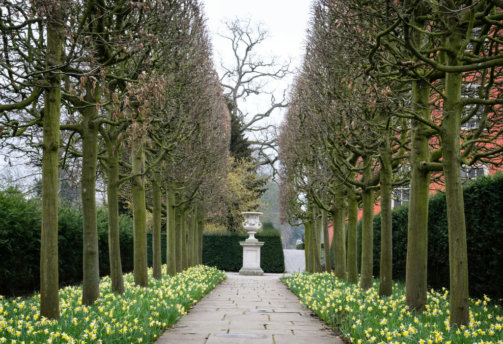 open Garden Londn