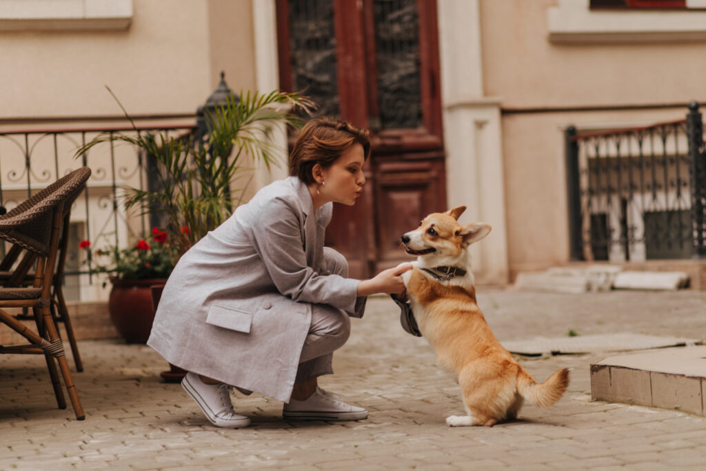 London Play with Puppies