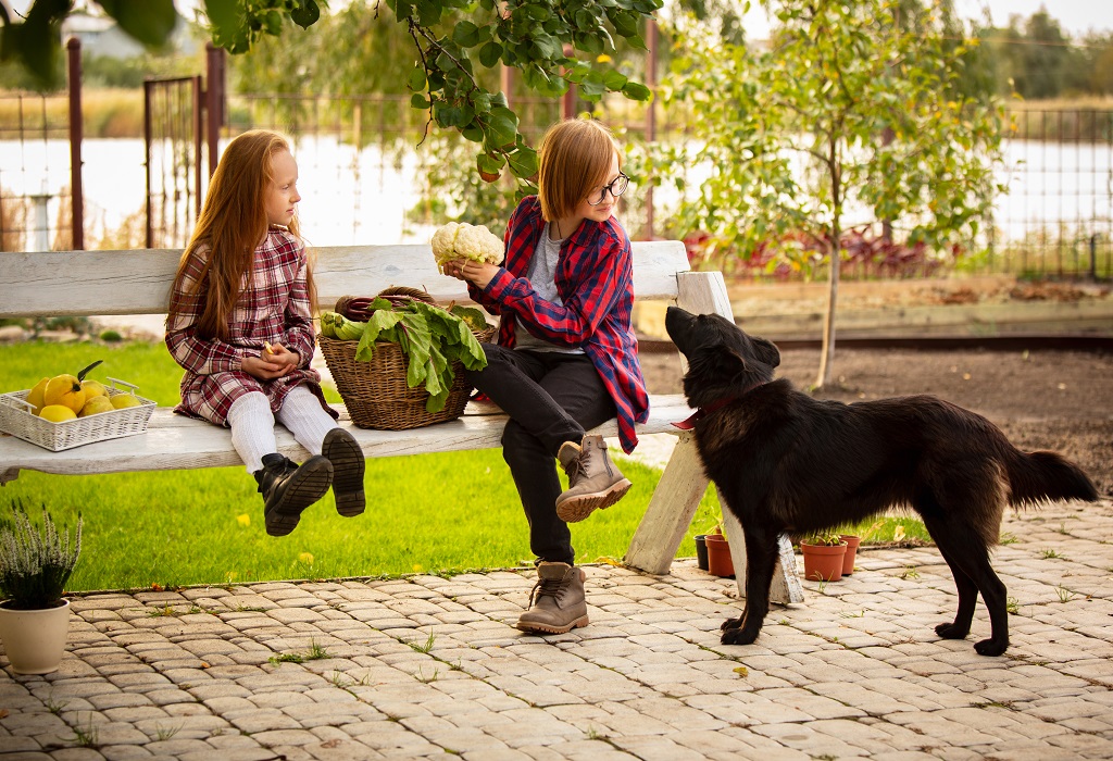 London play with puppies 