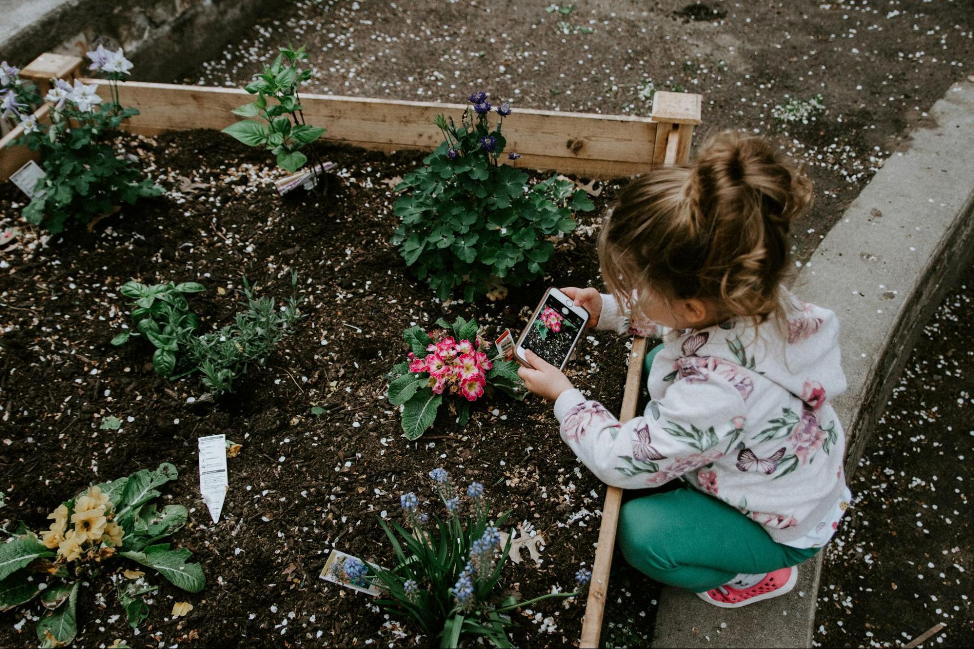 relaxing things to do in london Planting