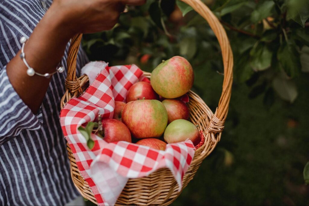 Fruit And Vegetable Farms 