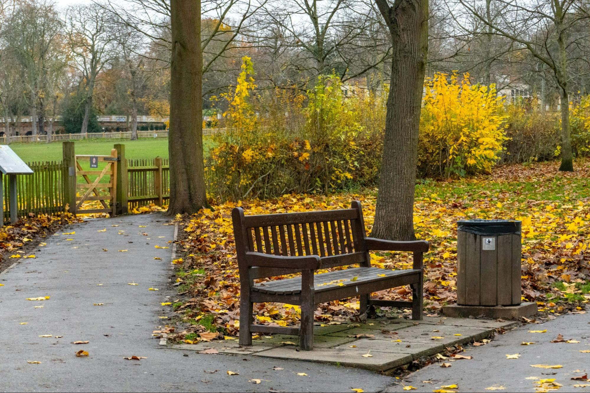 Sitting on bench of parks