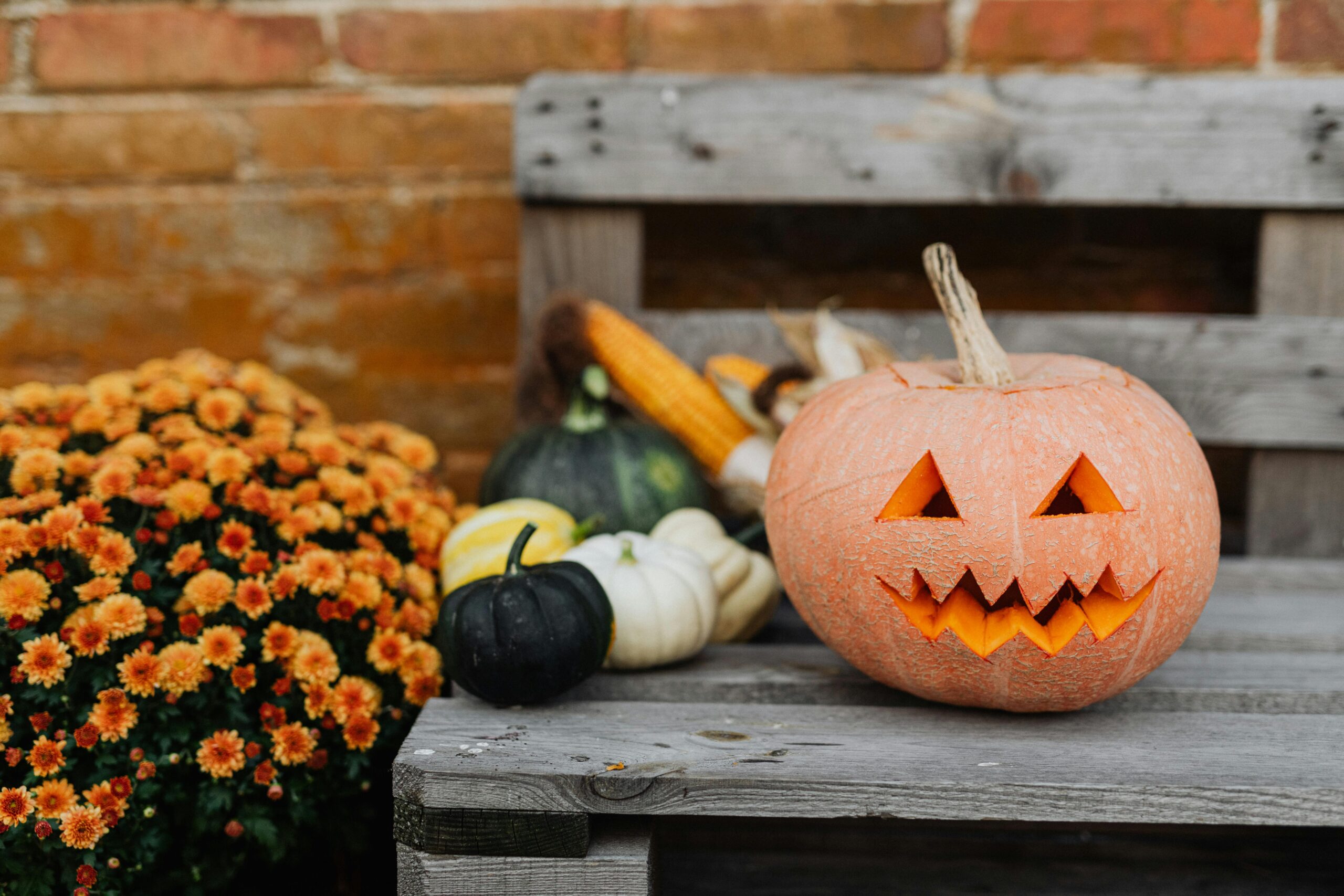 pumpkin carving London
