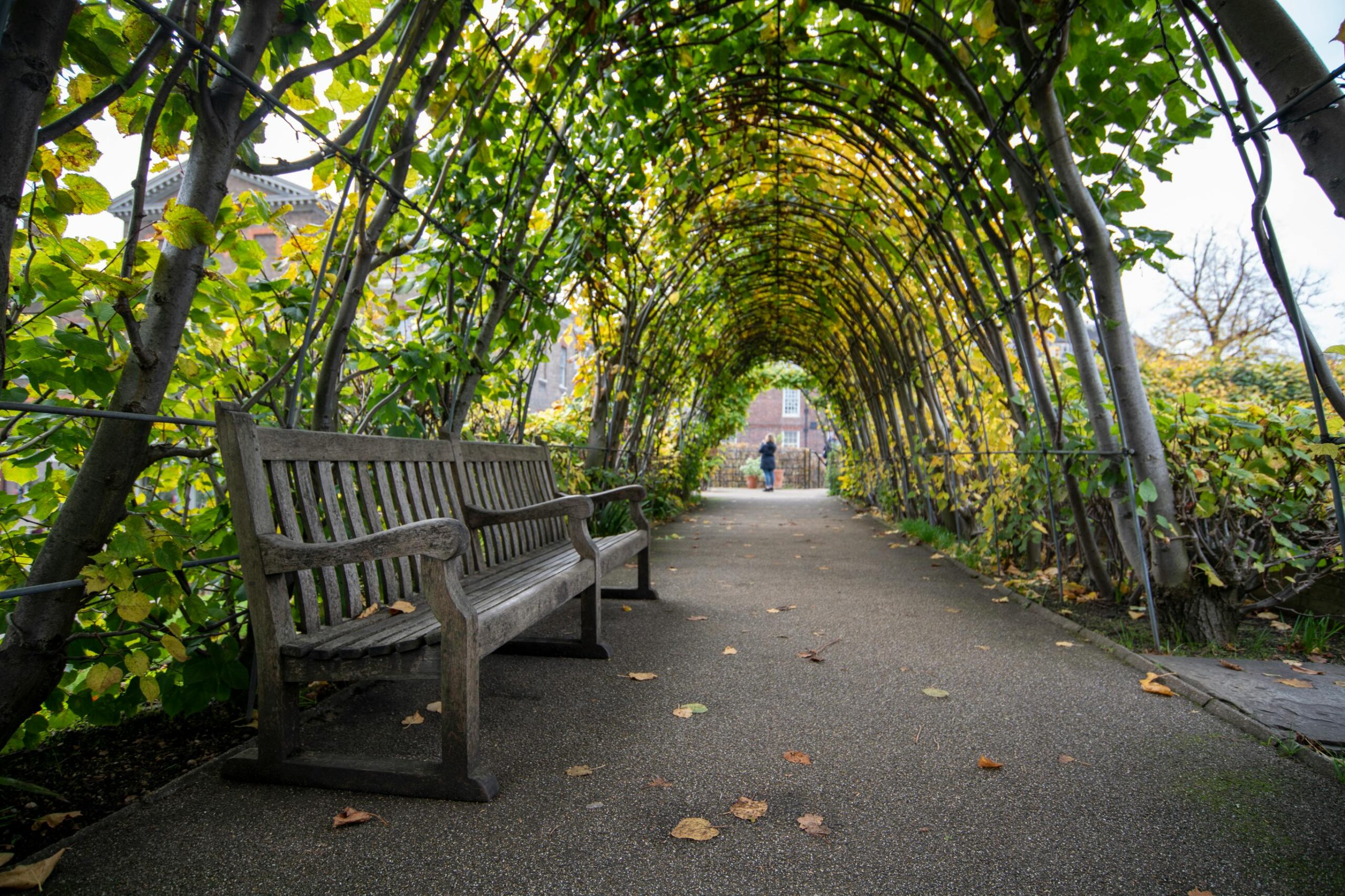 Open Garden