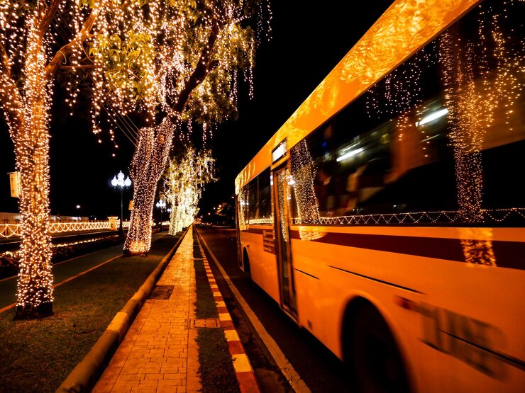 Christmas Lights Bus Tour