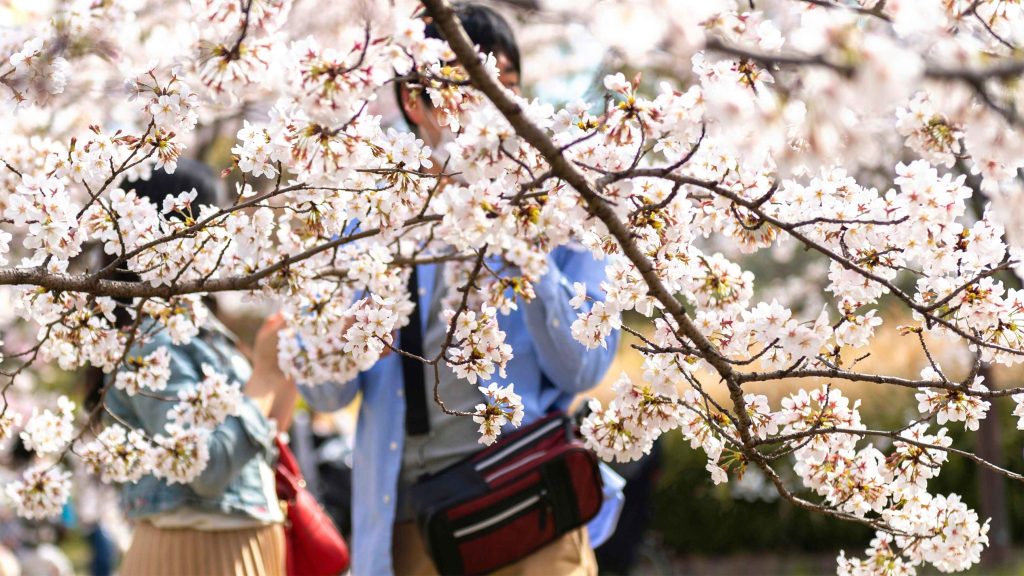 London Spring Festivals